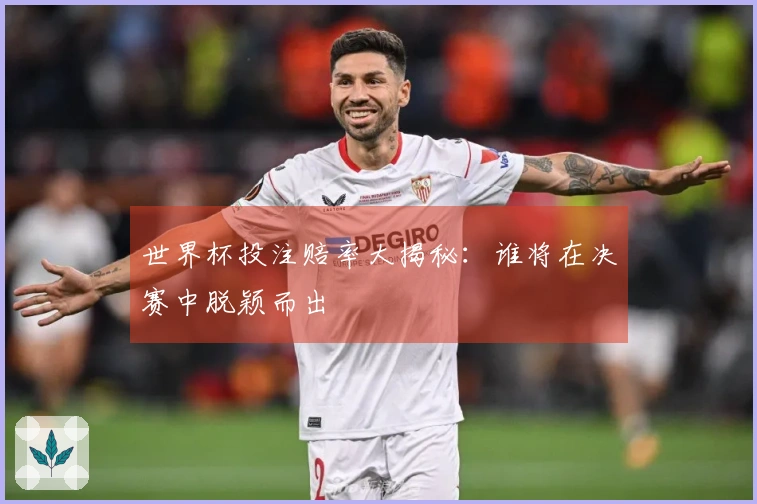 世界杯投注赔率大揭秘：谁将在决赛中脱颖而出