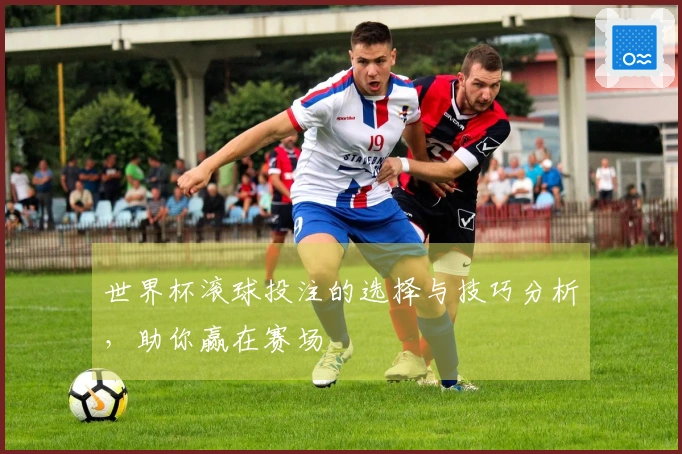 世界杯滚球投注的选择与技巧分析，助你赢在赛场