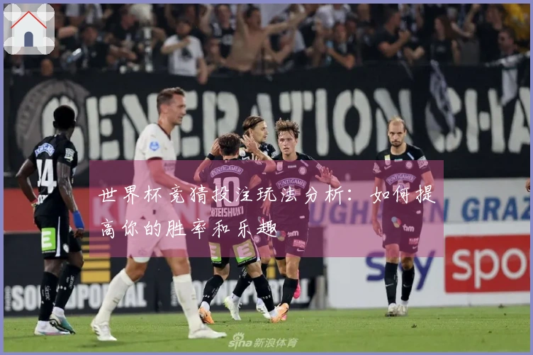 世界杯竞猜投注玩法分析：如何提高你的胜率和乐趣