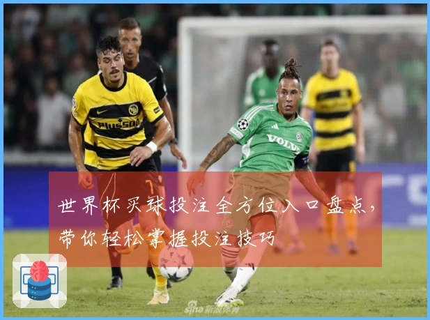 世界杯买球投注全方位入口盘点，带你轻松掌握投注技巧