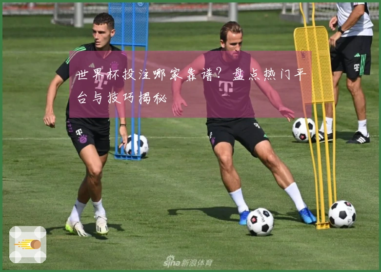 世界杯投注哪家靠谱？盘点热门平台与技巧揭秘
