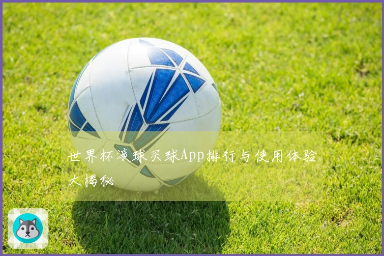 世界杯滚球买球App排行与使用体验大揭秘