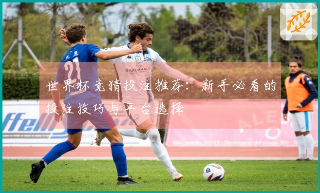 世界杯竞猜投注推荐：新手必看的投注技巧与平台选择