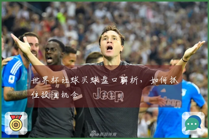 世界杯让球买球盘口解析，如何抓住投注机会