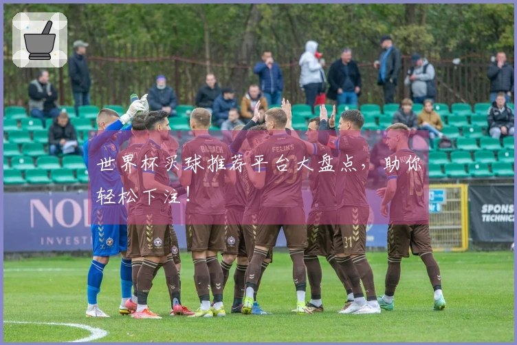 世界杯买球推荐平台大盘点，助你轻松下注！