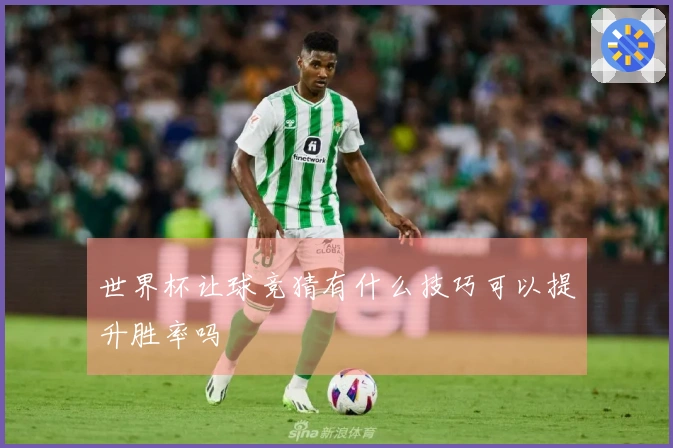 世界杯让球竞猜有什么技巧可以提升胜率吗