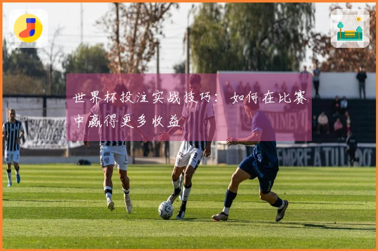 世界杯投注实战技巧：如何在比赛中赢得更多收益