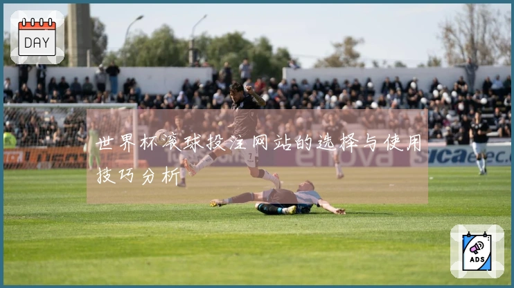 世界杯滚球投注网站的选择与使用技巧分析