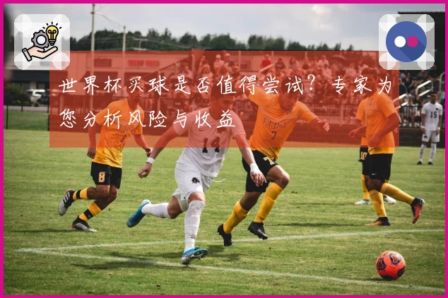 世界杯买球是否值得尝试？专家为您分析风险与收益