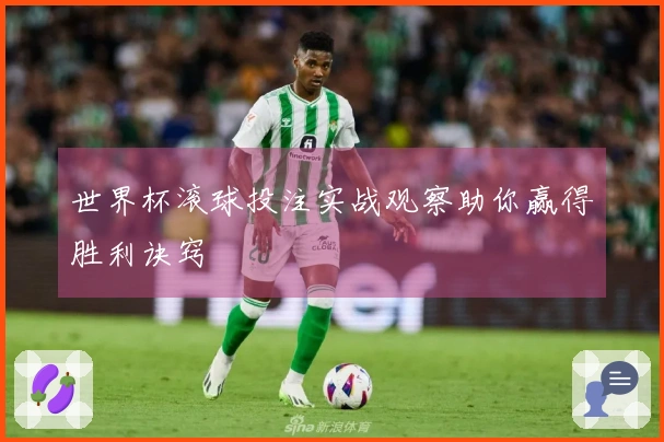 世界杯滚球投注实战观察助你赢得胜利诀窍
