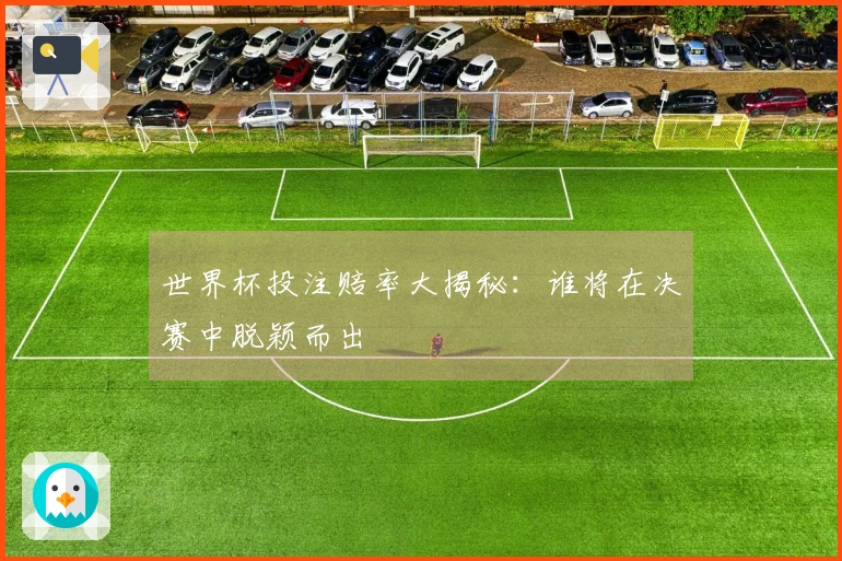 世界杯投注赔率大揭秘：谁将在决赛中脱颖而出