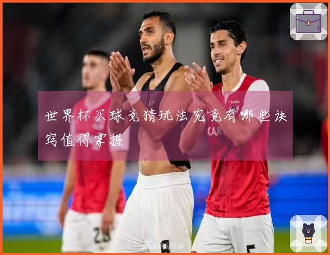 世界杯买球竞猜玩法究竟有哪些诀窍值得掌握