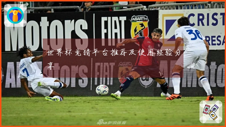 世界杯竞猜平台推荐及使用经验分享