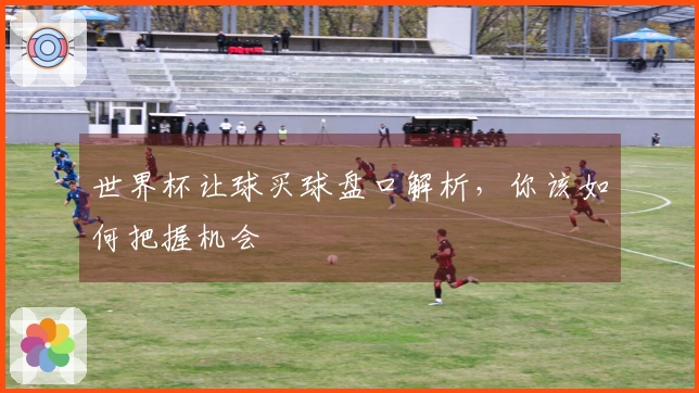 世界杯让球买球盘口解析，你该如何把握机会